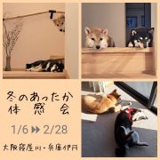 冬のあったか体感会